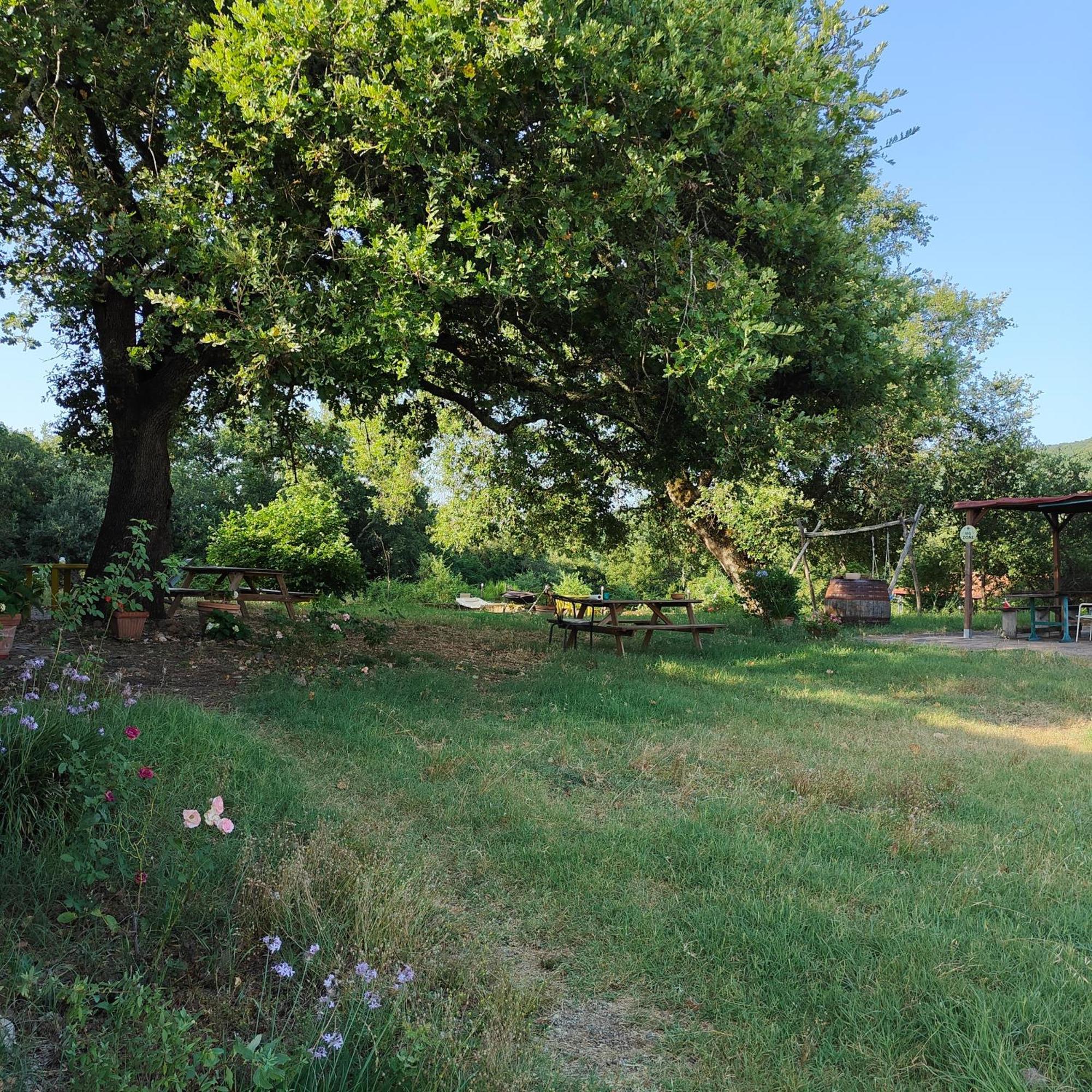 Agriturismo Il Casalino Pari Exterior foto
